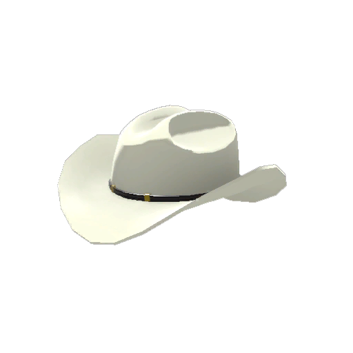 Genuine Texas Ten Gallon