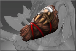 Bracers of the Wild Tamer