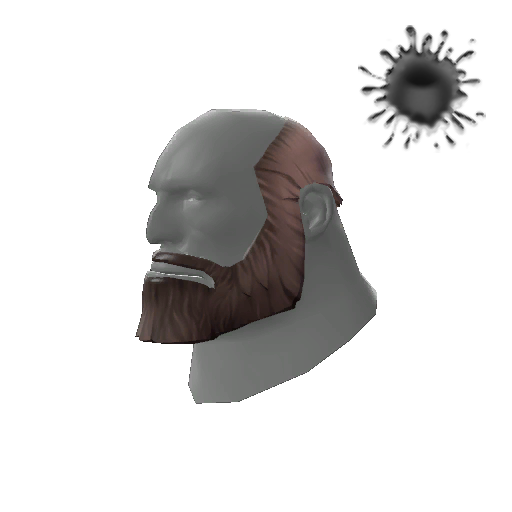 The Unshaved Bear