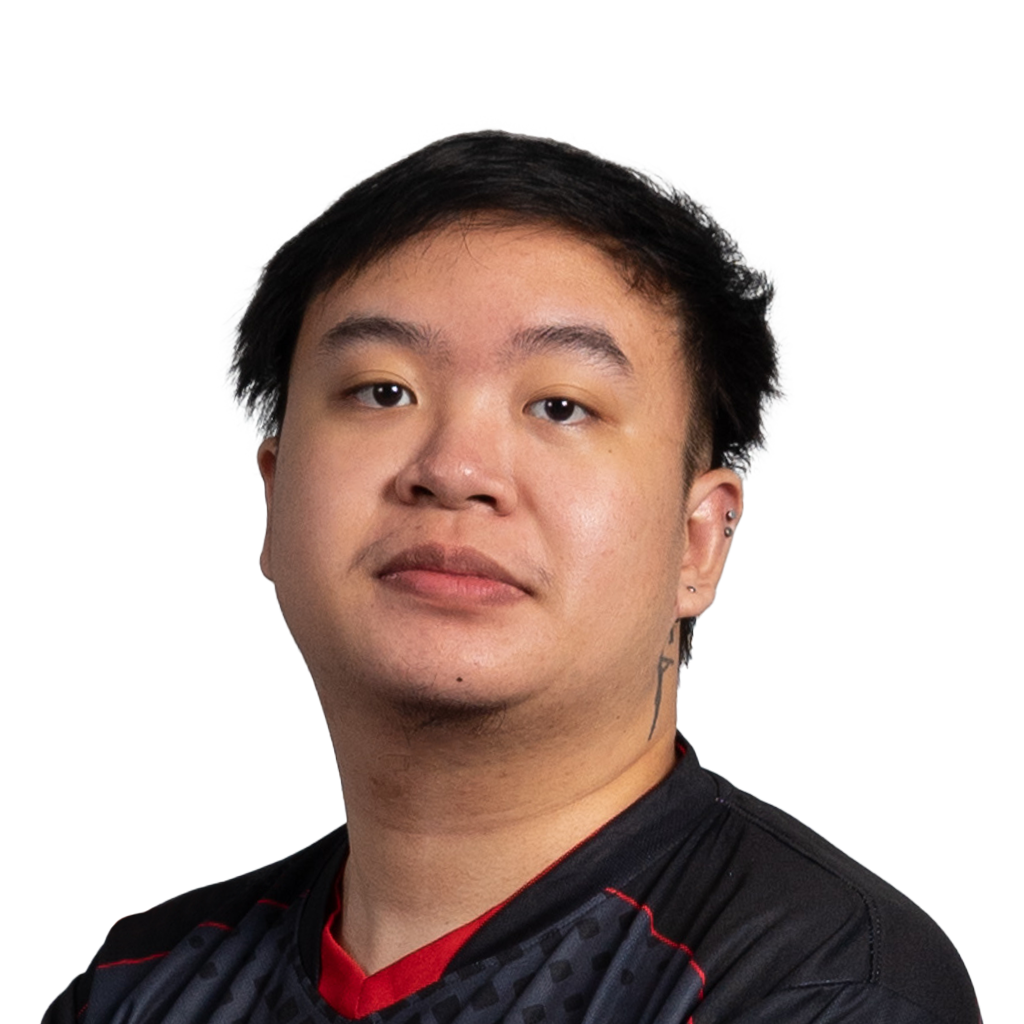 skem Player Sticker - TI 2022