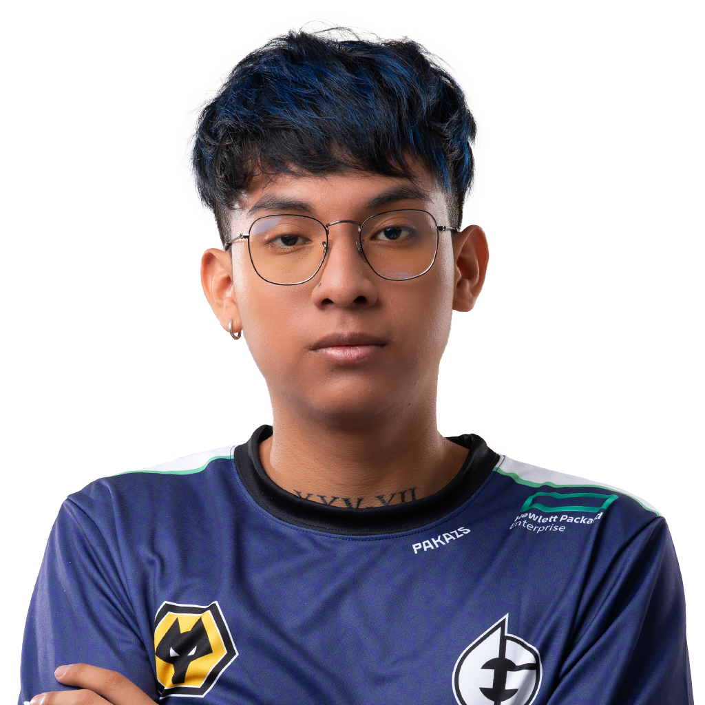 Pakazs Player Sticker - TI 2023